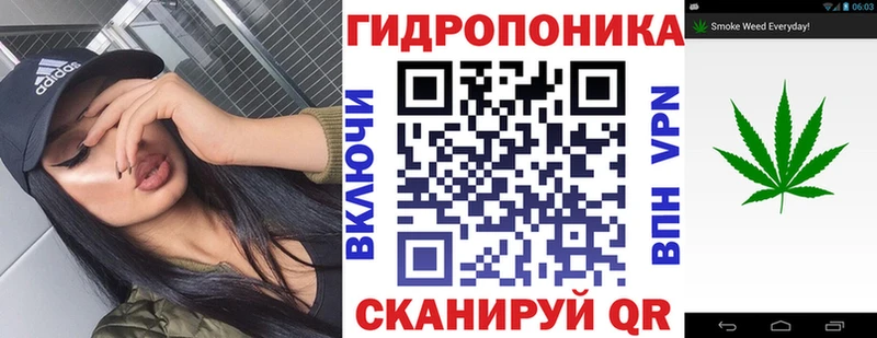 Купить закладку Каннабис  Псилоцибиновые грибы  Alpha-PVP  Меф мяу мяу  Гашиш  КОКАИН  Великий Устюг