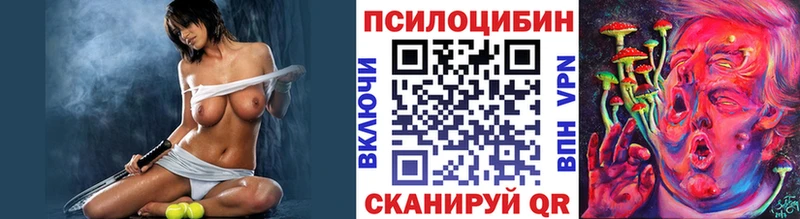 Псилоцибиновые грибы GOLDEN TEACHER  Купить  Великий Устюг 